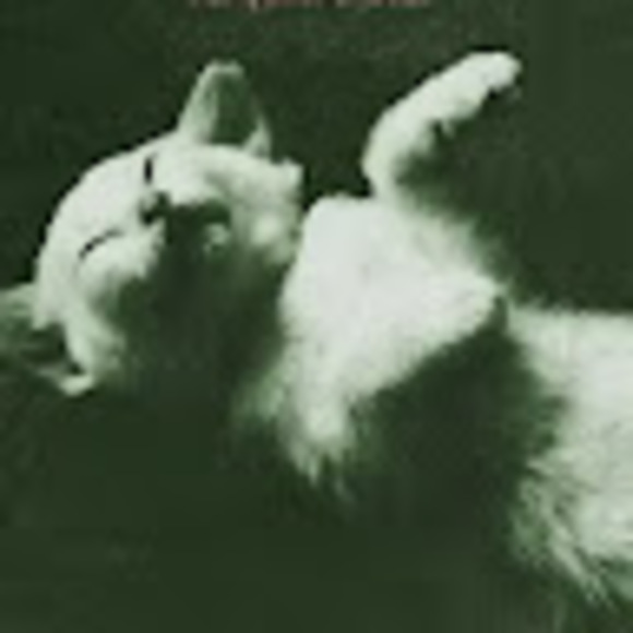 carmcat11